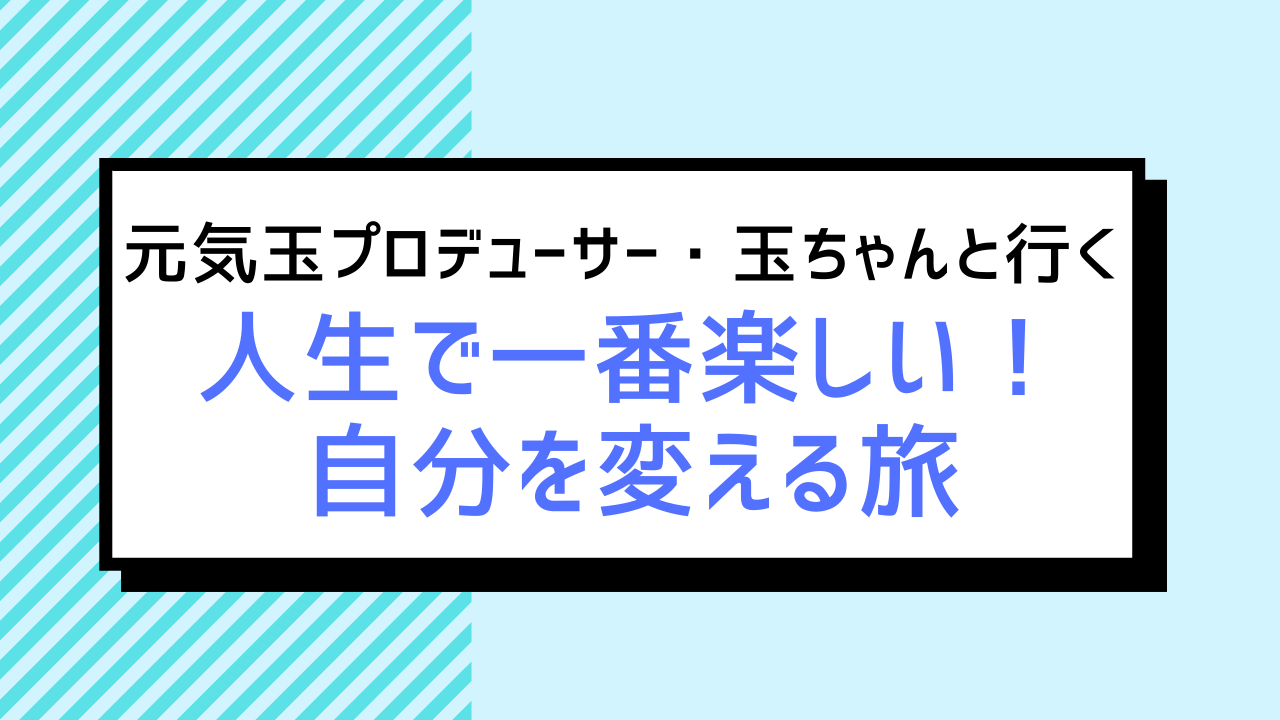 たまここ　サービス